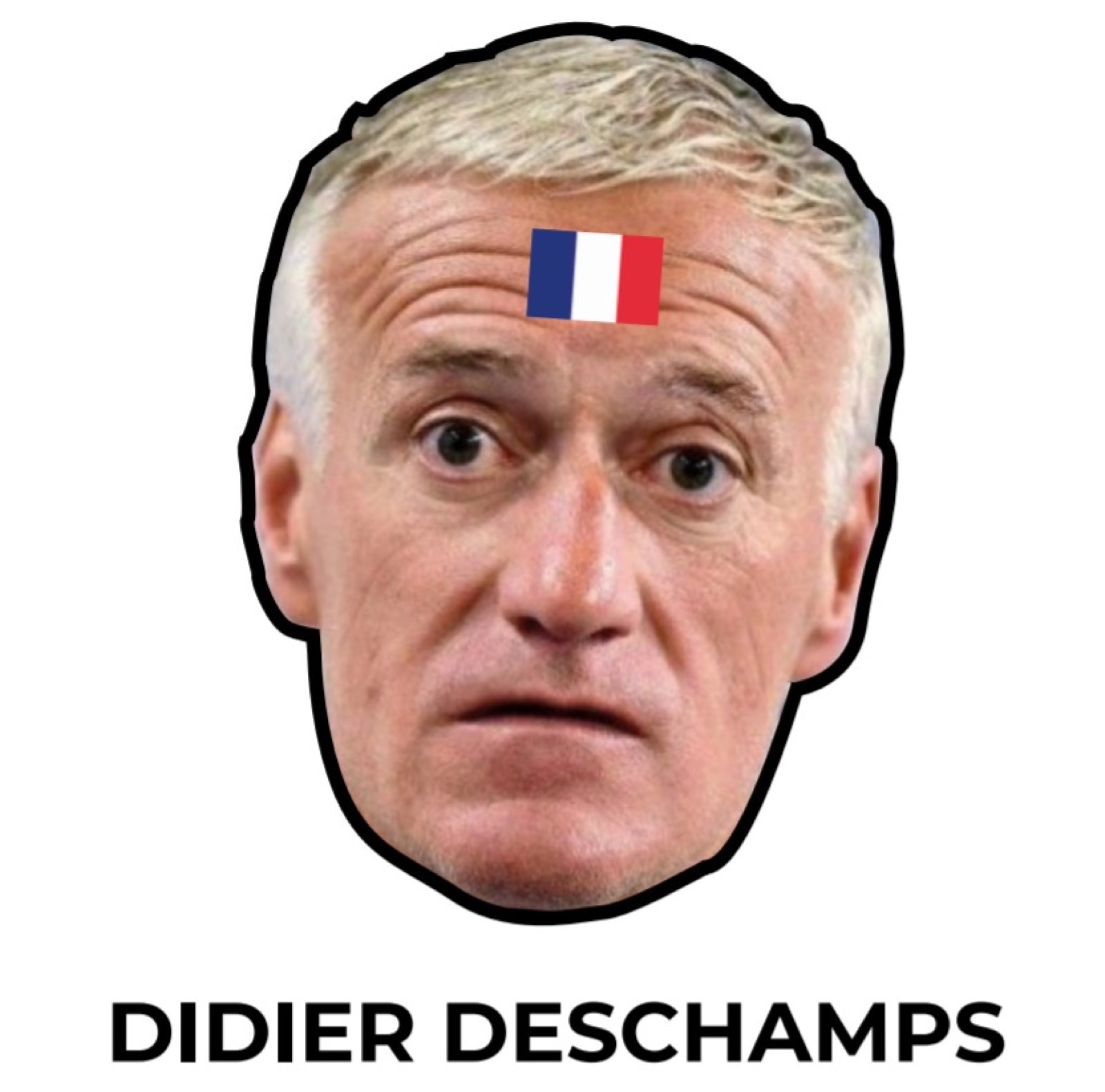 Masque Didier Deschamps