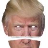 apercu masque donald trump